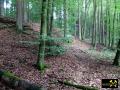 Eisen-Mangan-Bergbau im Lochborner Revier bei Bieber, Nordspessart, Hessen, (D) (4) 31. Mai 2014.JPG